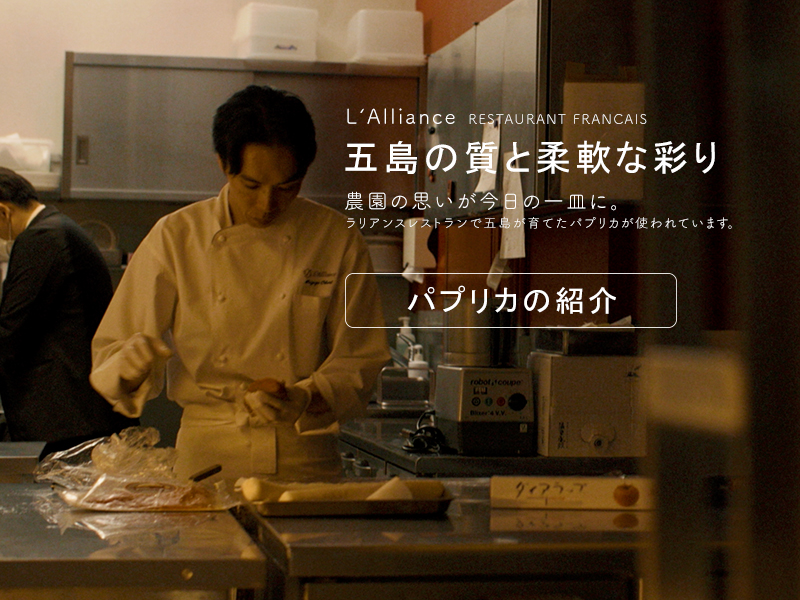 パプリカの紹介